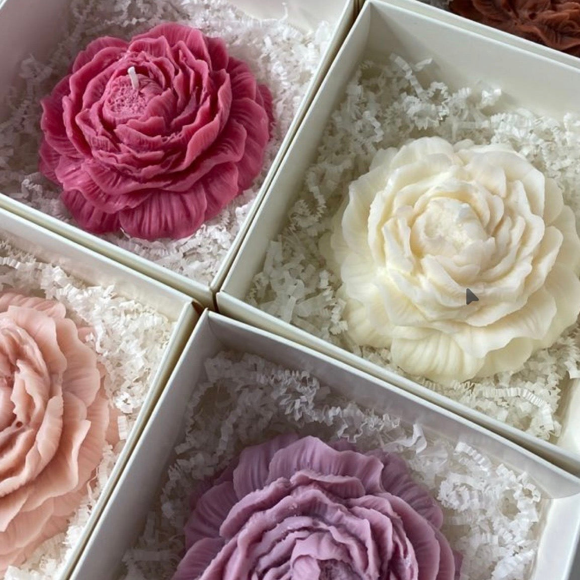 Peony Candle